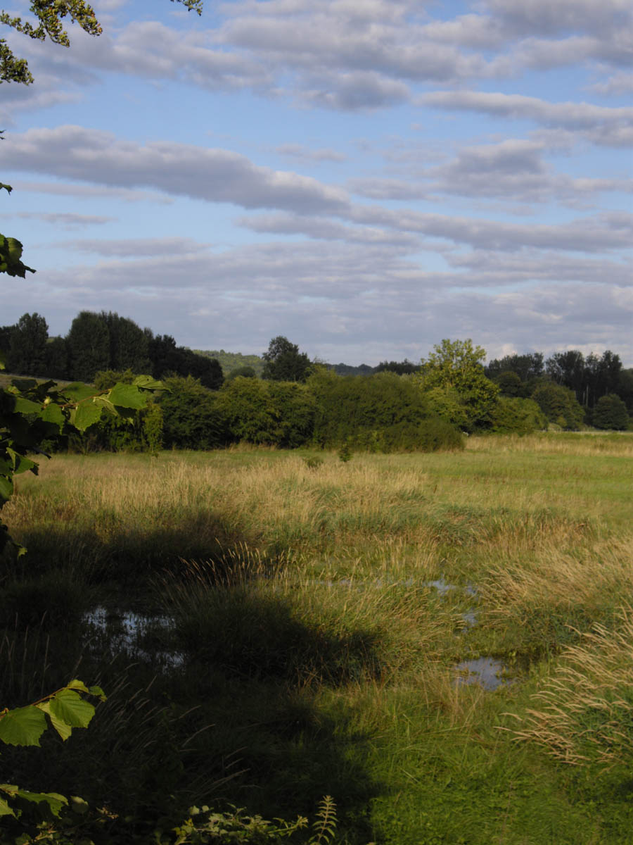 Etang de la Flache asséché en été